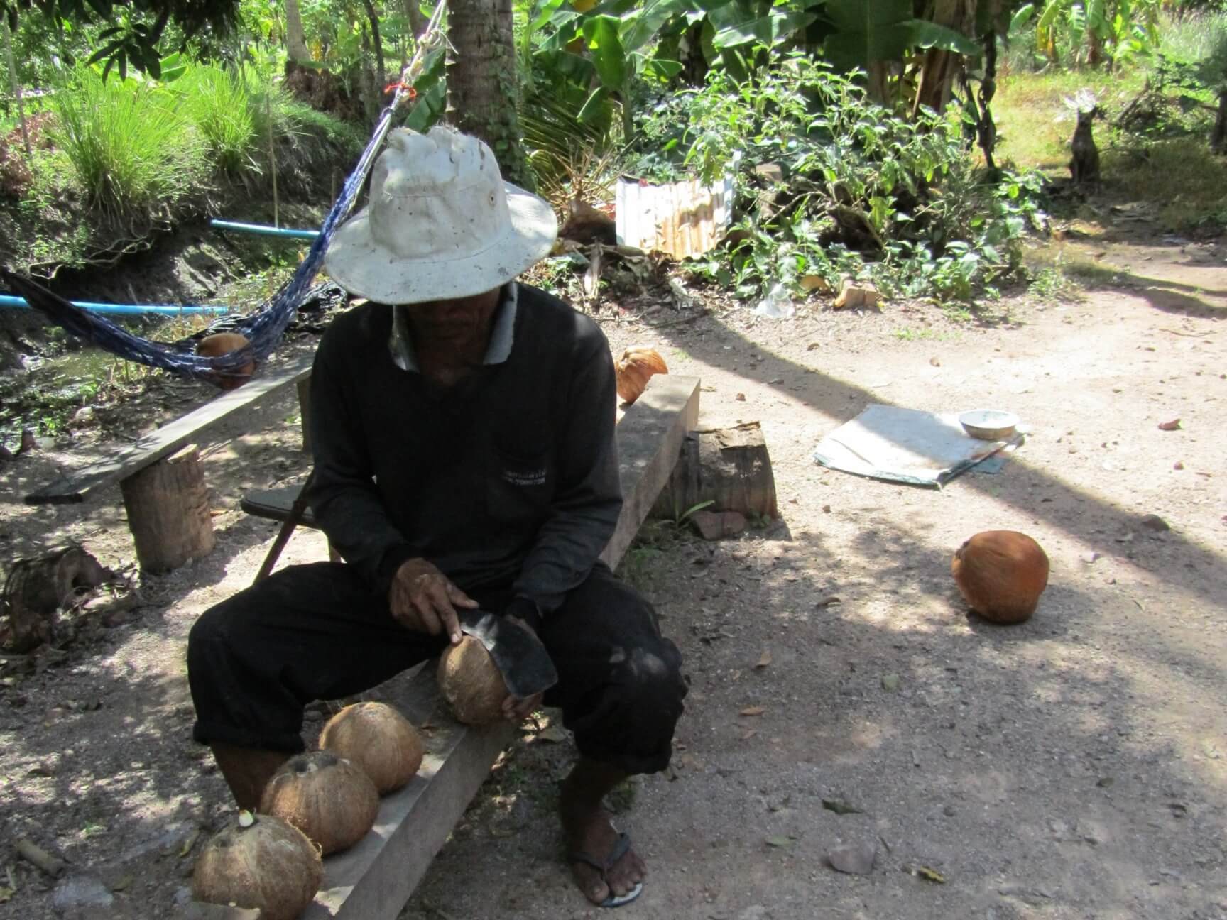 Odpowiedzialny biznes kokosowy